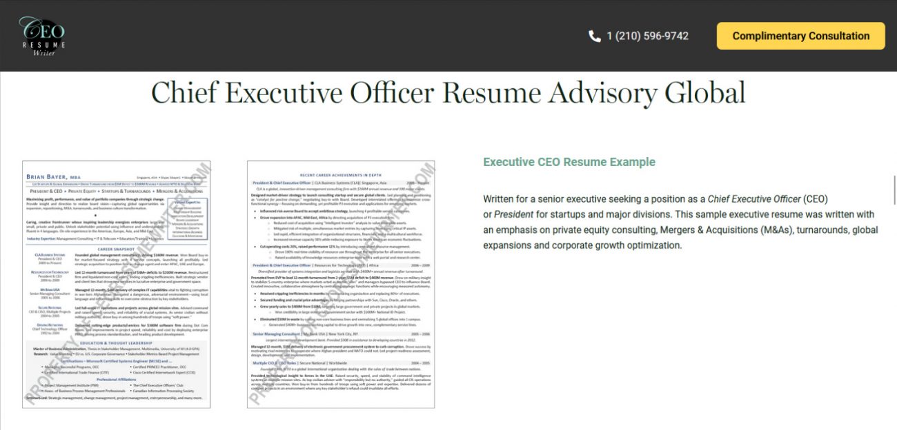 CEO Resume Writer Review
