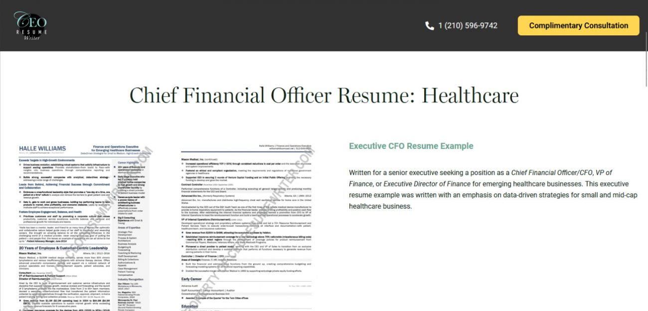CEO Resume Writer Review