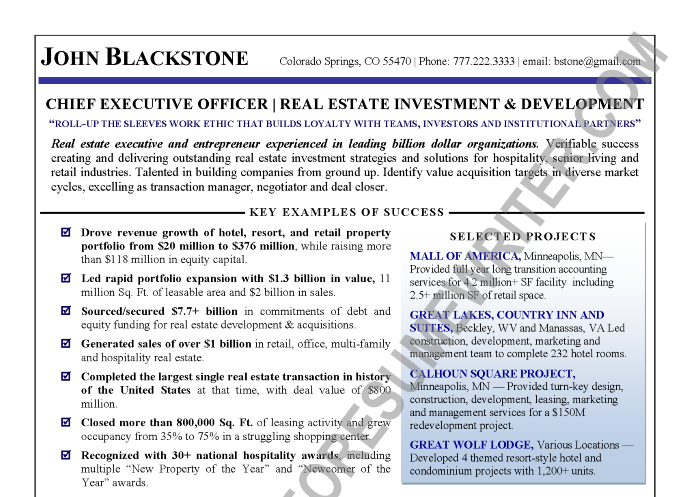 CEO Resume Example: Real Estate